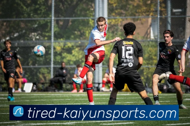 App Interface Preview